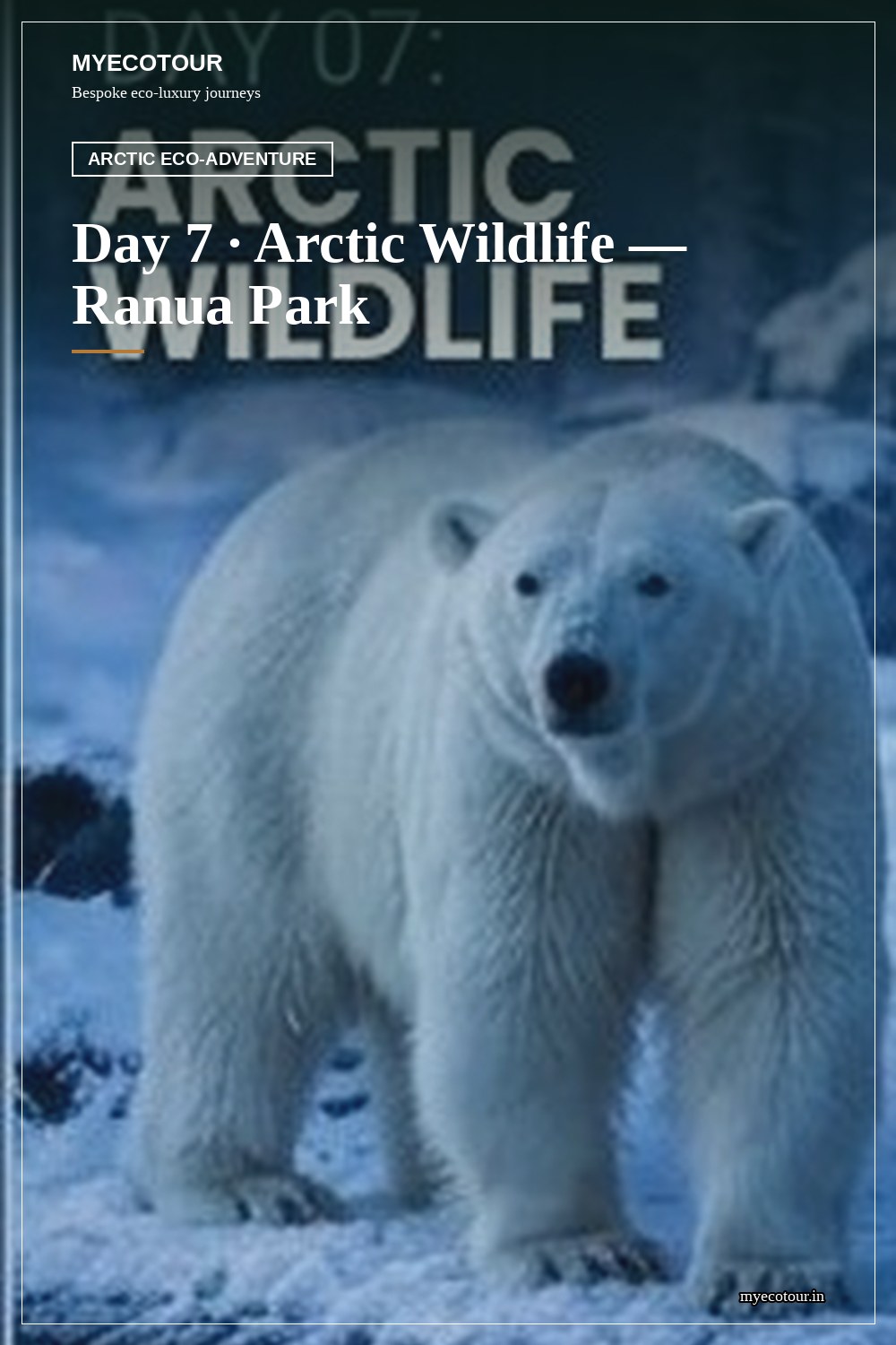 Day 7 · Arctic Wildlife — MyEcoTour